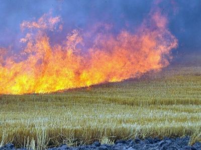 Тушение пожаров на хлебных полях и в степях