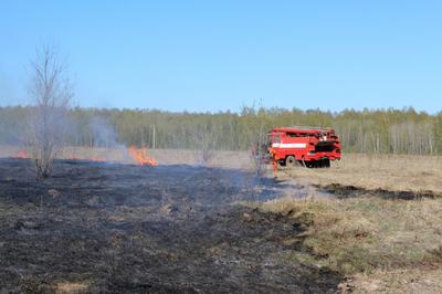 Пожароопасный сезон начался в Нижегородской области