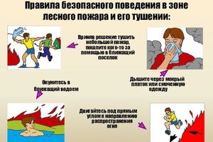 Правила поведения при задымлении, смоге