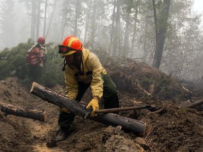 А неделю с 15 по 21 ноября 2021 года лесопожарные службы ликвидировали в 3 регионах России 6 лесных пожаров