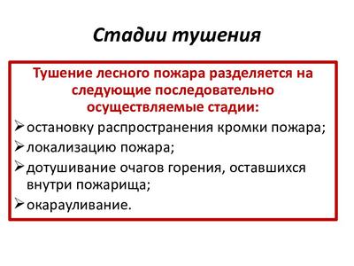 Стадии развития лесного пожара и операции по тушению