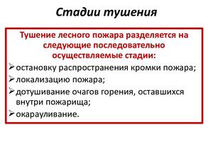 Стадии развития лесного пожара и операции по тушению