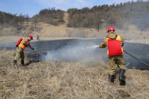 Лесопожарная обстановка в Нижегородской области находится на особом контроле
