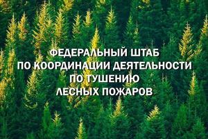 Рослесхоз: омской, тюменской, курганской и новосибирской областям поручено обеспечить работу по тушению лесных пожаров в первые сутки