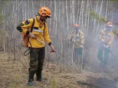 За неделю в России потушили 27 лесных пожаров