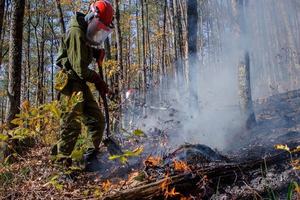 Ликвидировали в 3 регионах России 4 лесных пожара