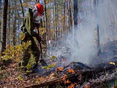 Ликвидировали в 3 регионах России 4 лесных пожара