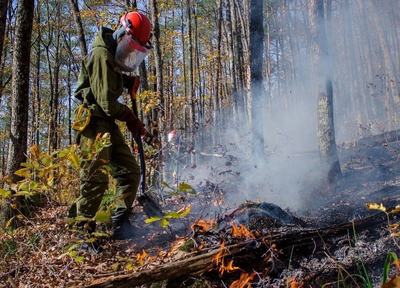 Ликвидировали в 3 регионах России 4 лесных пожара
