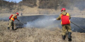 Лесной огнетушитель