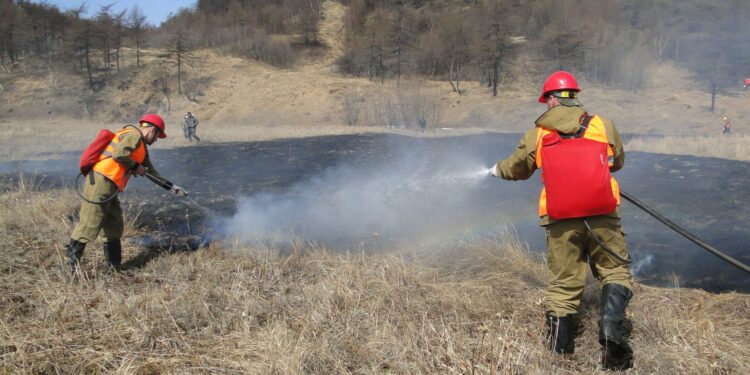 Лесной огнетушитель