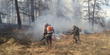 Hssb02csgfzsrgyb6h9a