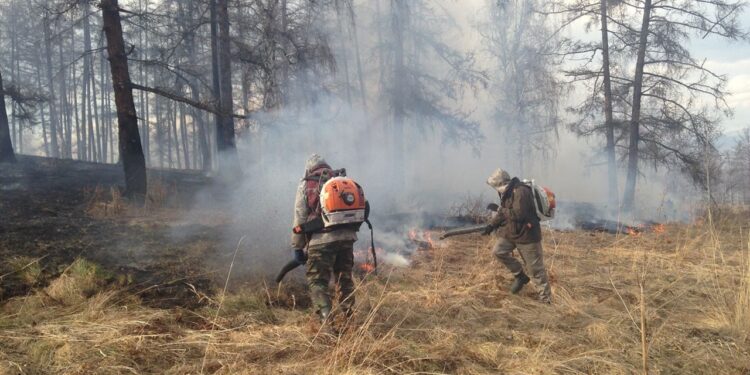 Hssb02csgfzsrgyb6h9a