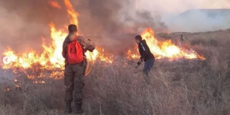 631551d9e204d070083287