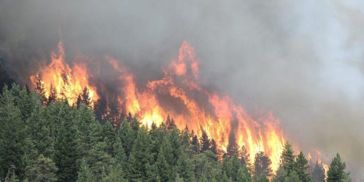 1648963281 21 vsegda pomnim com p lesnie pozhari v sibiri foto 24