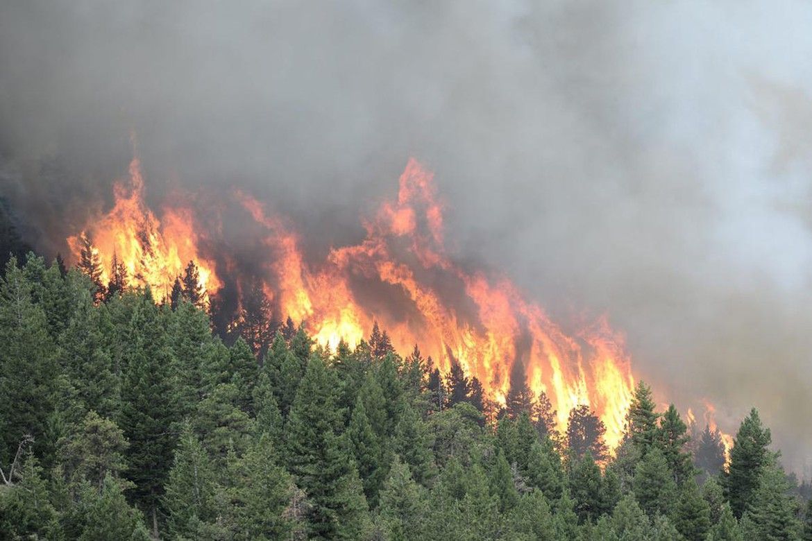 Верховой Лесной пожар