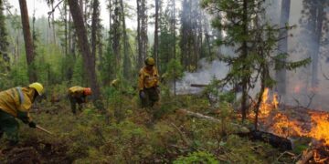 Cc9f063af0bfa52593d0c7b189bb3cb1 xl