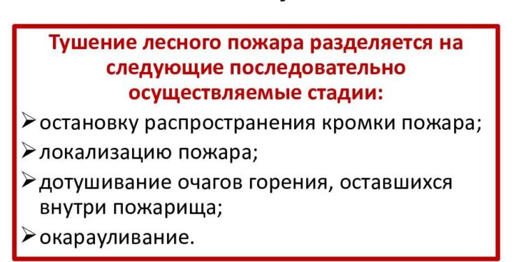 D2b65570 a5d1 472a aa91 c7701f768c92