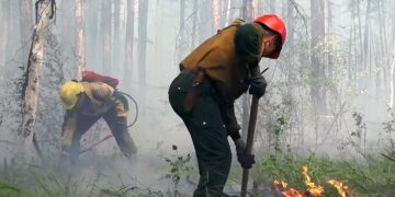 1648949659 44 vsegda pomnim com p rabotnik lesa foto 57