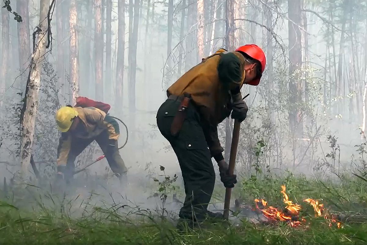 Картинка тушение пожара в лесу